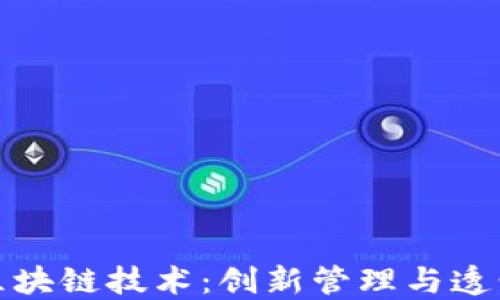 
政府部门的区块链技术：创新管理与透明治理的未来